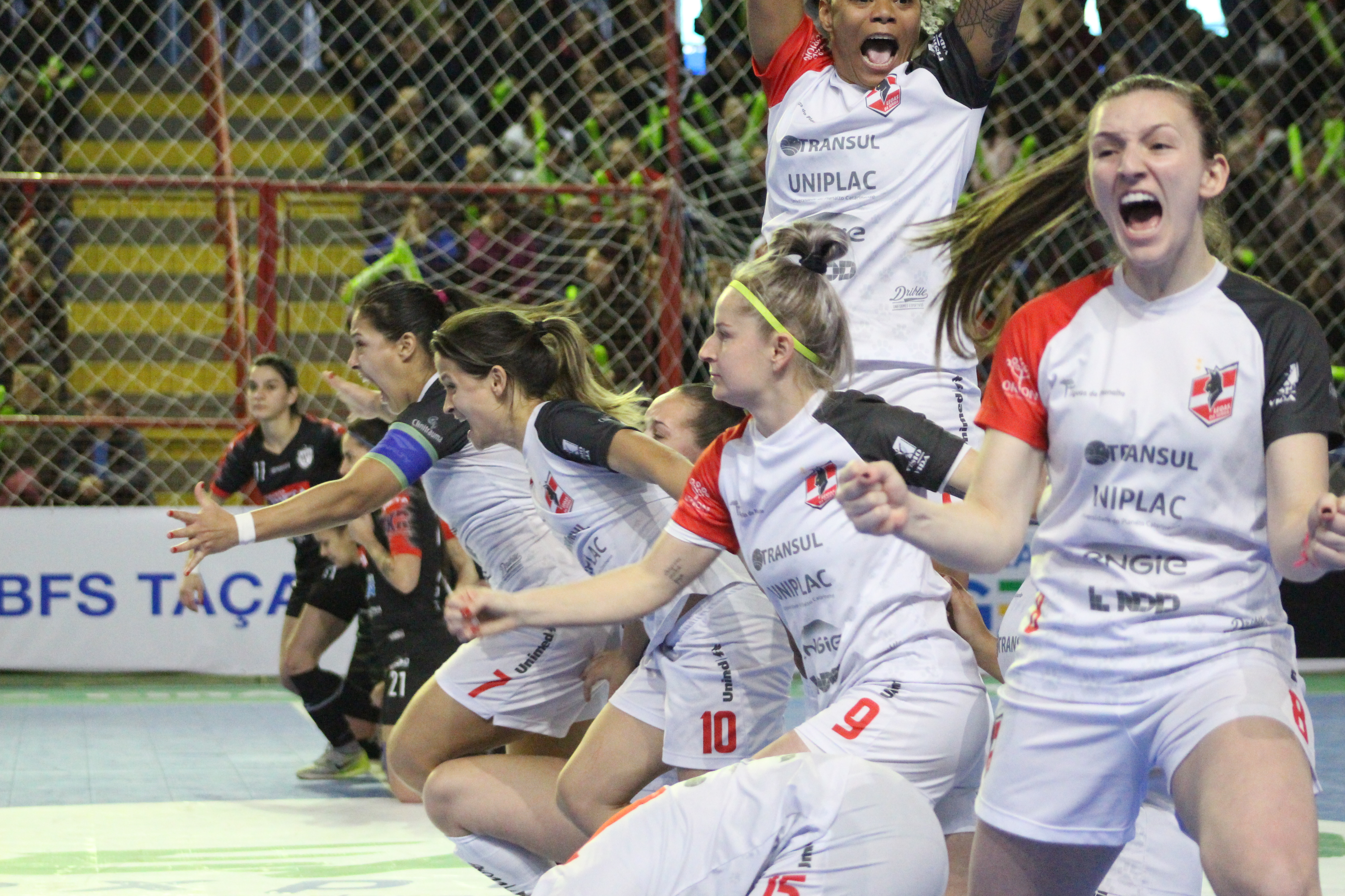 O fanático torcedor lageano terá a chance de rever as meninas que fizeram história no futsal feminino do Leoas da Serra. Atualmente, a maioria está em clubes da Itália, Espanha e Portugal¬